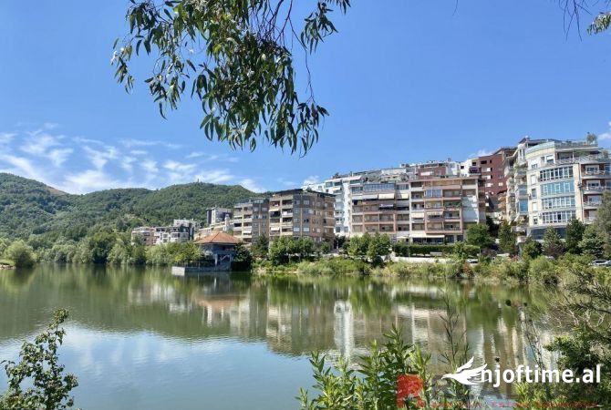 Ambiente Commerciale in Affitto 3+1 a Tirana - 2,200 Euro