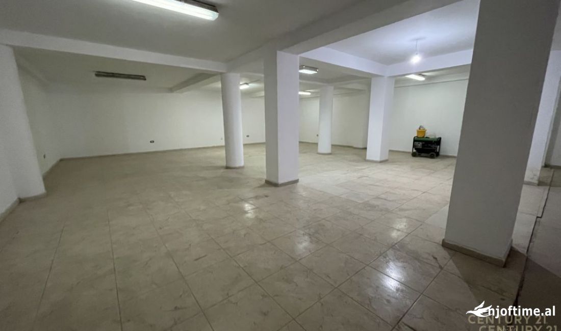 Magazine per qira prane Zogut te Zi!