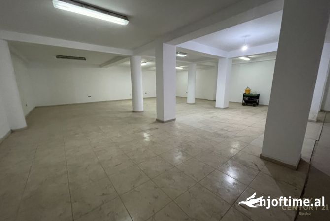 Magazine per qira prane Zogut te Zi!