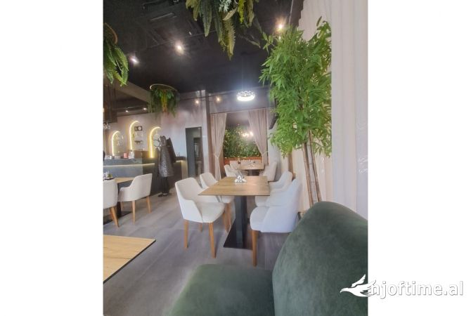 Ambient biznesi ne shitje 2+1 ne Tirane - 75,000 Euro