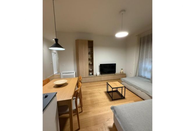 Appartamento in affitto a Tirana 2+1, Arredato