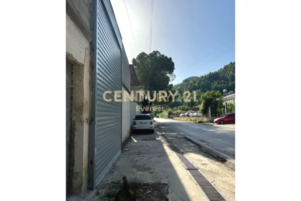 Ambient biznesi me qera 4+1 ne Tirane - 4,500 Euro