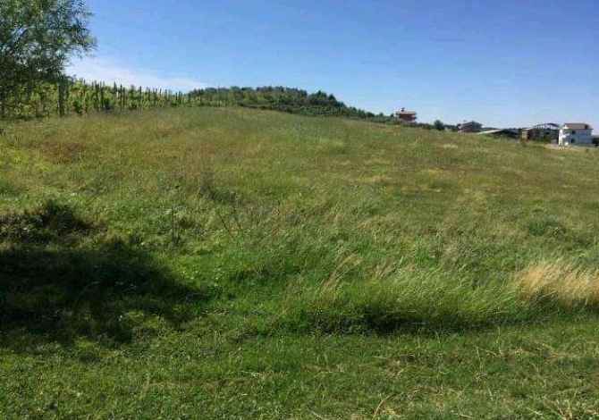 Shitet toke, koder me pamje nga deti 