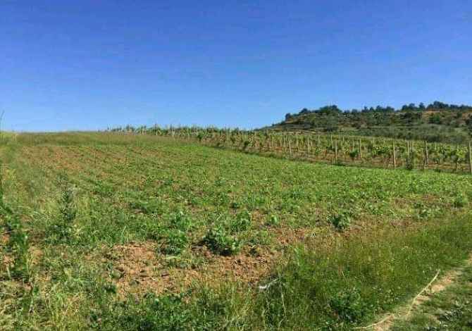 Shitet toke, koder me pamje nga deti 