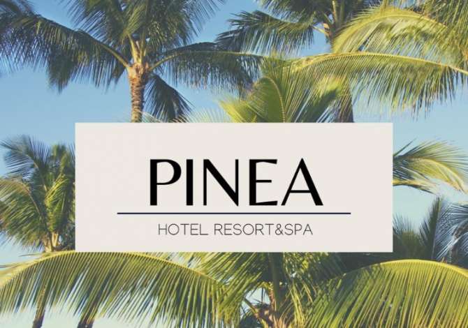 Offerte di lavoro a Durazzo, Profession Banakiere, Kamariere, Sanitare, Punonjese lavanterie , , Pagamento Trattabile.