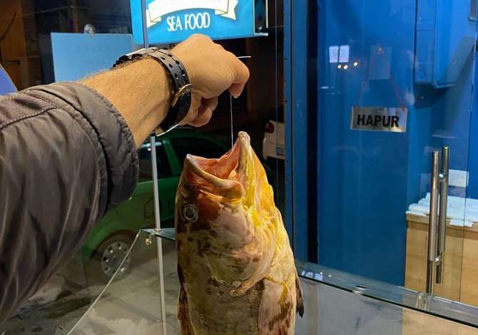 Offerte di lavoro a Tirana, Profession Kuzhinier, Kamarier dhe ndihmes ne kuzhine , , Pagamento Trattabile.