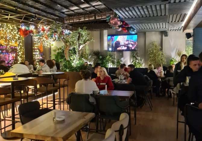 Offerte di lavoro a Tirana, Profession Kamarier/e, Banakier/e, Ndihmes Barist, Hostes/e, sanitare dhe Pjatalarese , , Pagamento Trattabile.