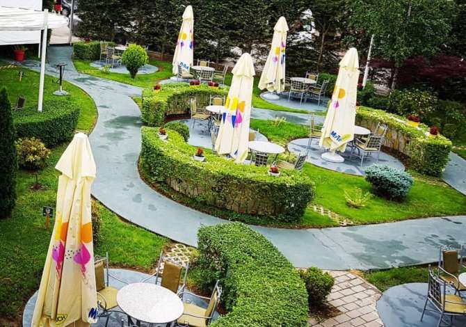 Offerte di lavoro a Tirana, Profession Kamarier/e, Banakier/e  , , Pagamento Trattabile.