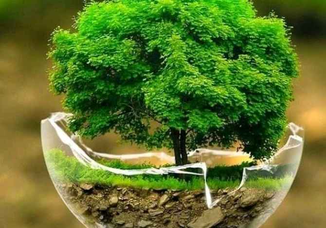 Sherbime Udhetimi dhe Transporti ne Tirane - 35 