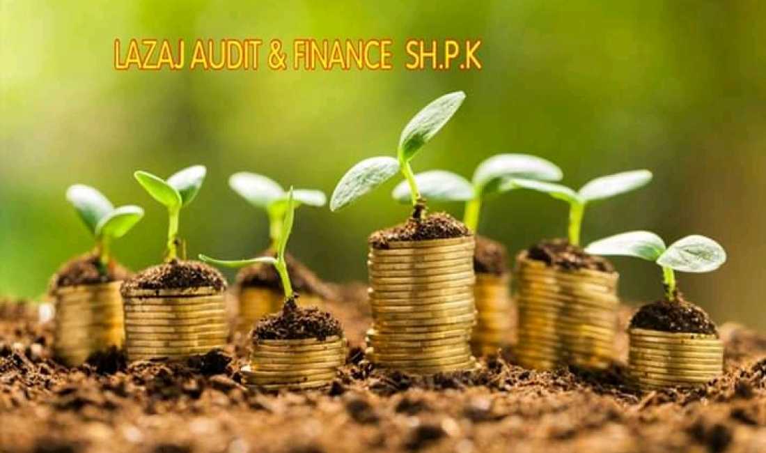 LAZAJ Audit & Finance ofron sherbime Deklarimi, Konsulence Fiskale dhe Legale, Trajnim stafi, Auditim etj.