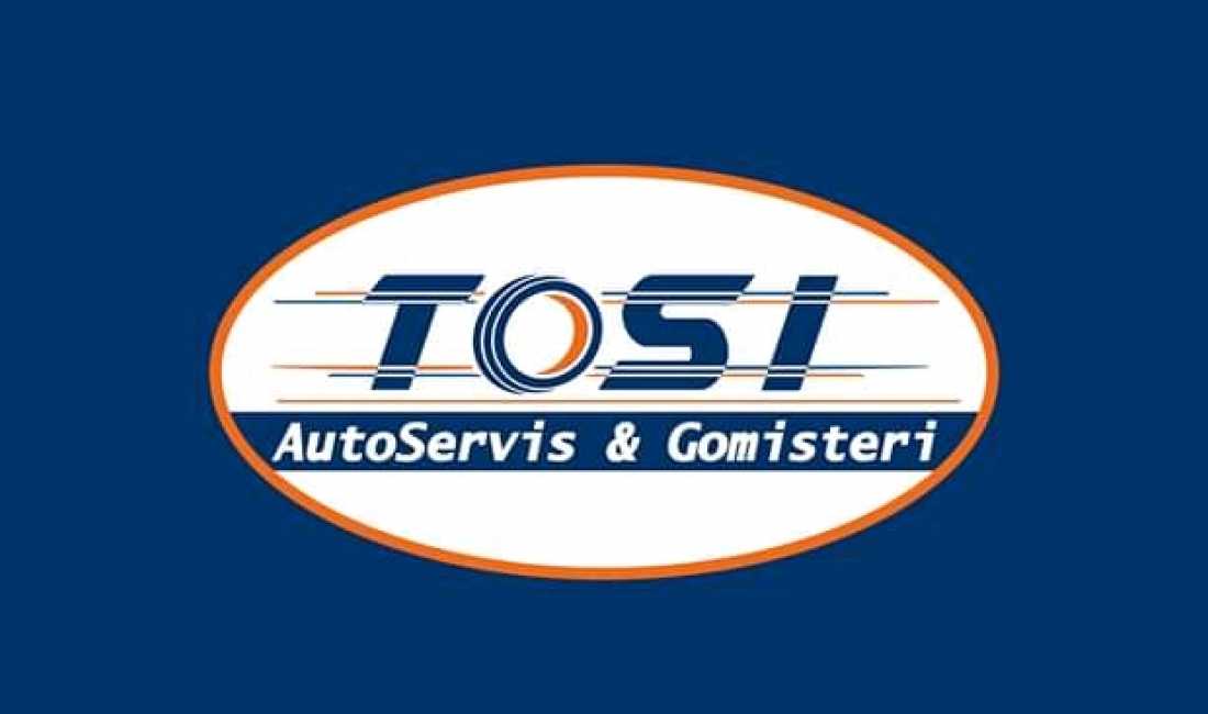 Auto Servis & Gomisteri ofron sherbim profesional per servis dhe gomisteri
