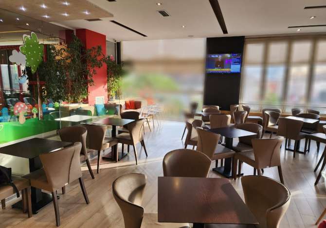 Ambient biznesi me qera 2+1 ne Tirane - 1,600 Euro