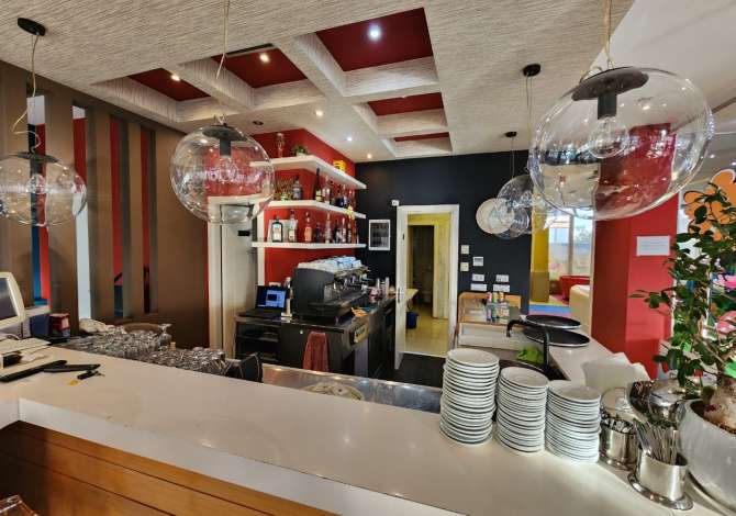 Ambient biznesi me qera 2+1 ne Tirane - 1,600 Euro