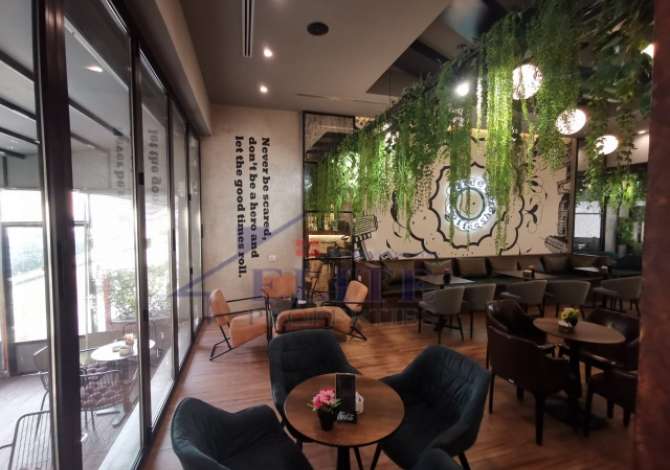 Business Property for Rent 2+1 in Tirana - 1,000 Euro