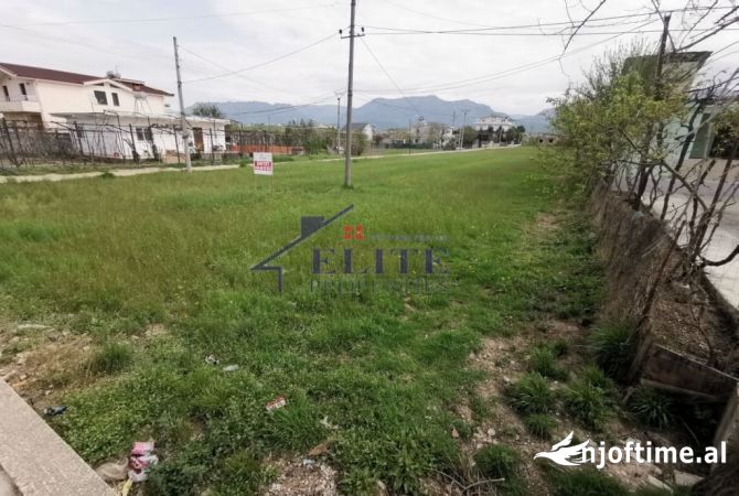 Kamez, tokë në shitje