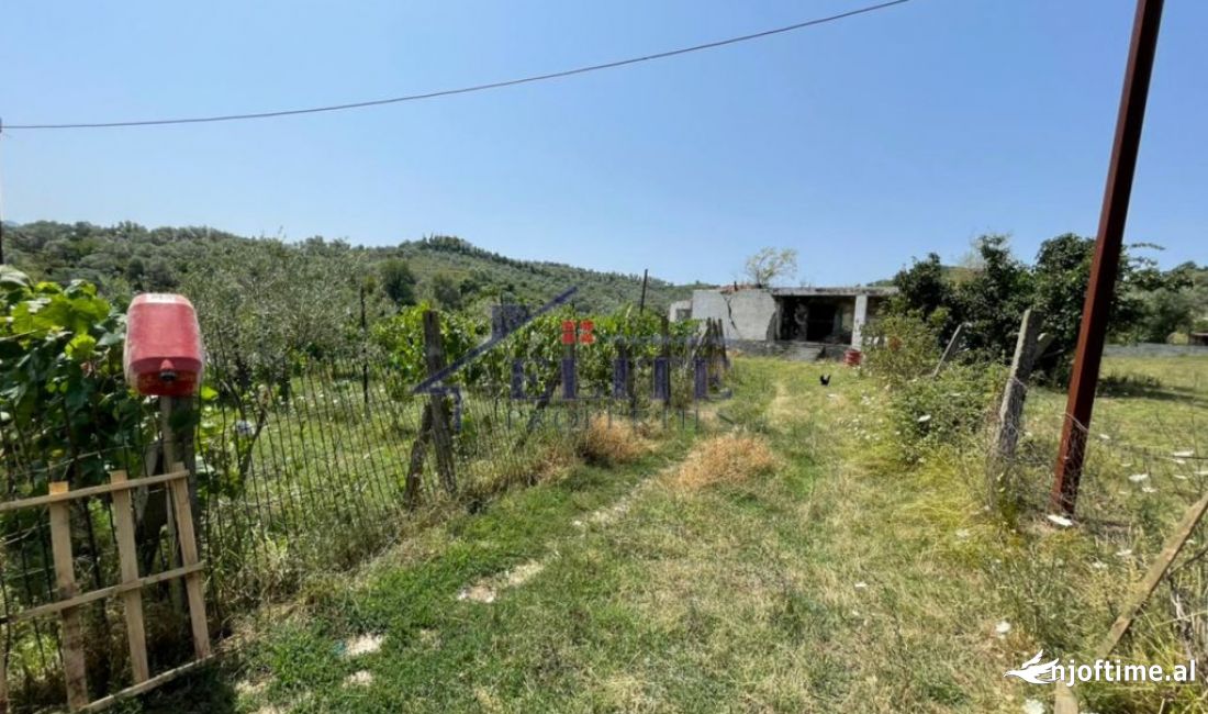 Mjull-Bathore, truall ne shitje