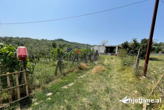 Mjull-Bathore, truall ne shitje