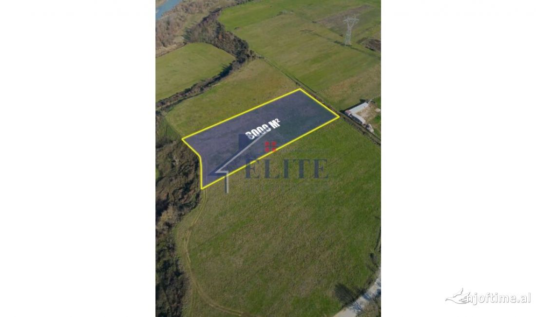 Arbane, toke ne shitje