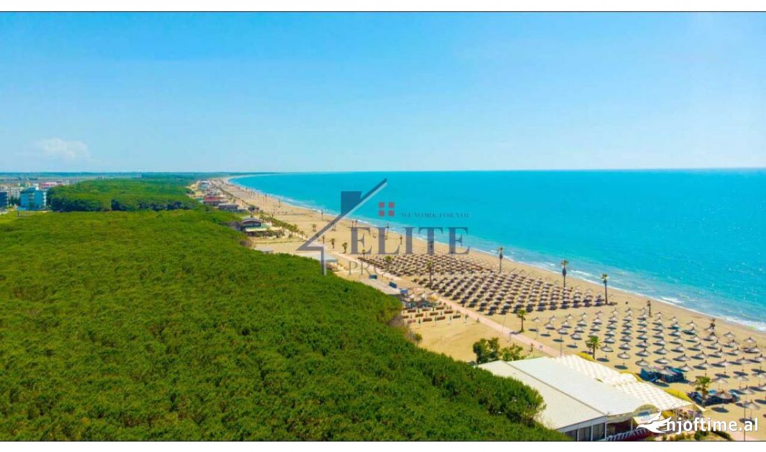 Spille, toke ne shitje