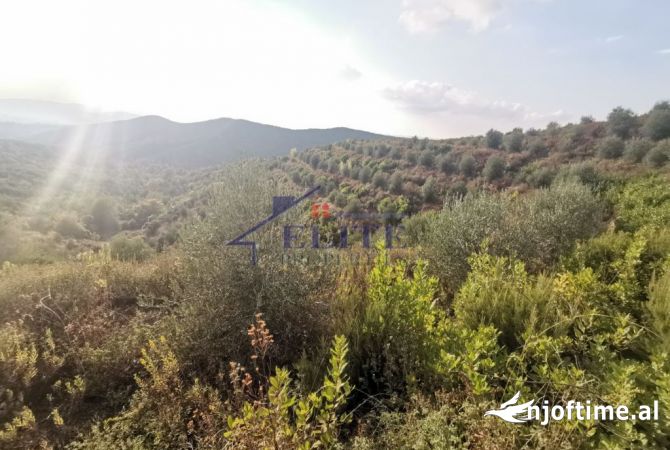 Zall-Herr, tokë ne shitje