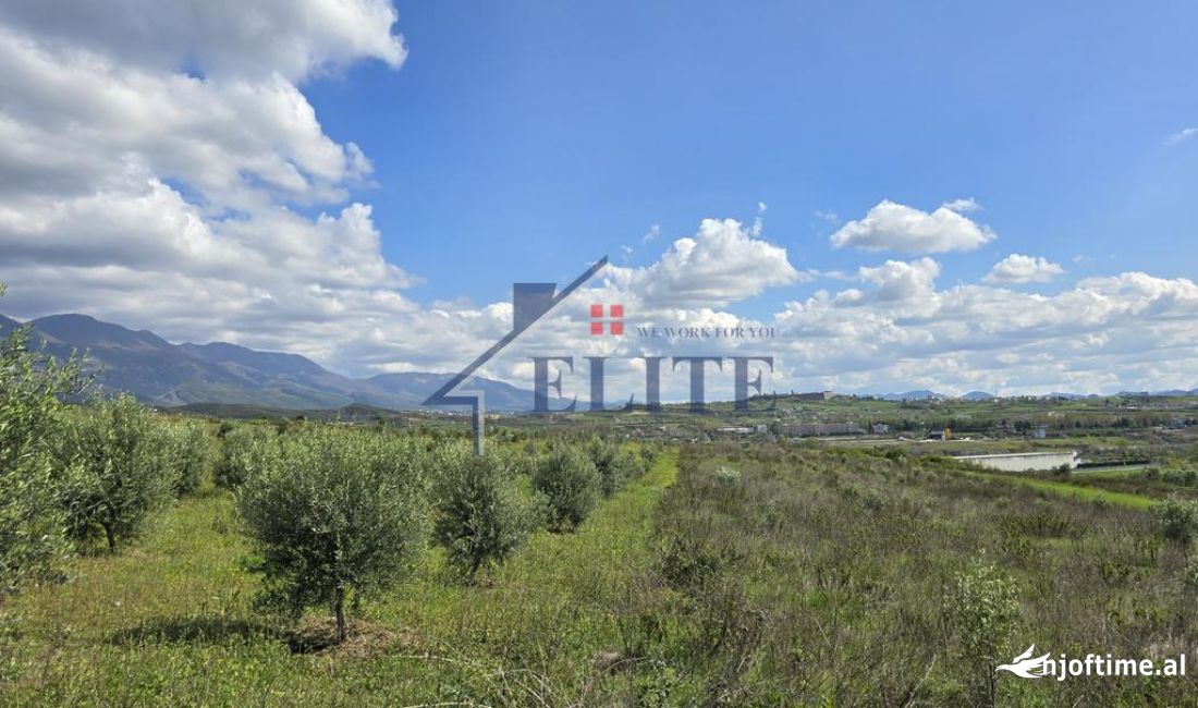 Zall Herr, toke per shitje