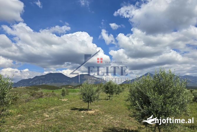 Zall Herr, toke per shitje