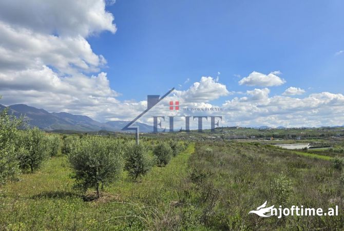 Zall Herr, tokë për shitje