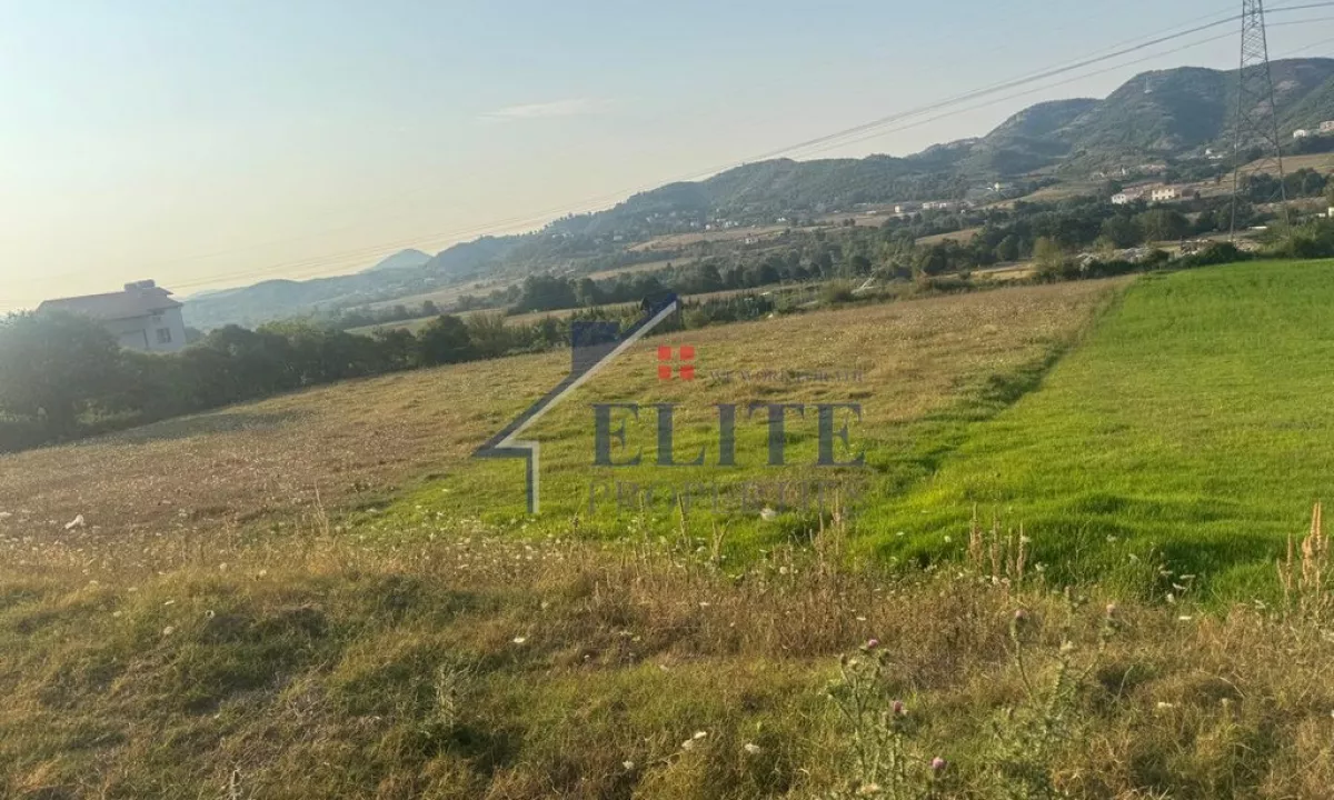 Shitet toke ne Vishaj, prane Viles 26