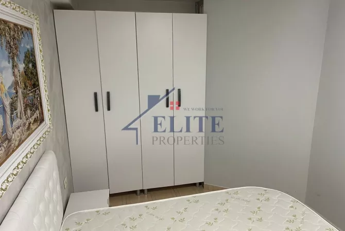 Shtepi me qera Apartament ne Tirane, 1+1, Mobilimi E mobiluar, Pagesa 450  Euro.