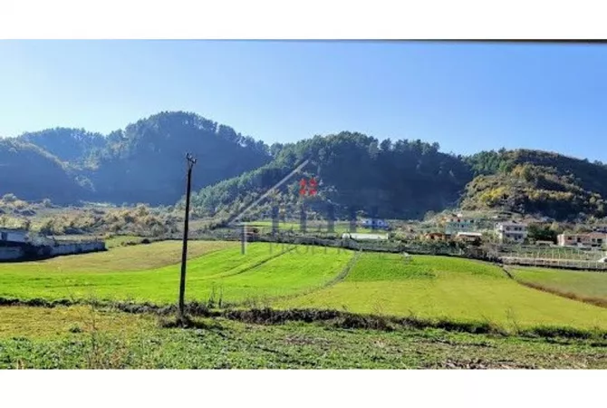 Arbanë, tokë në shitje