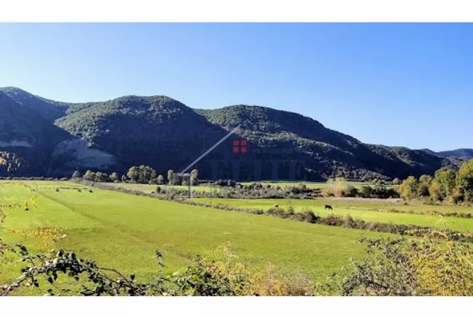 Arbane, toke ne shitje