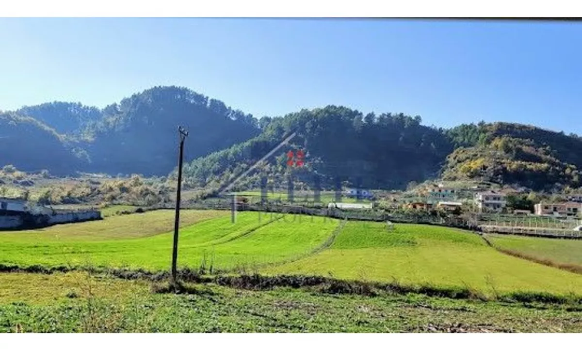 Arbane, toke ne shitje