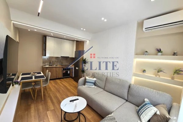 Shtepi ne shitje Apartament ne Tirane, 1+1, Mobilimi E mobiluar, Pagesa 163,000  Euro.