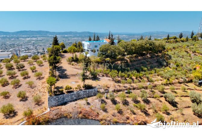 Godine per shitje ne Kucove!