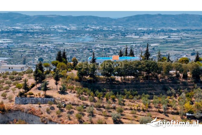 Godine per shitje ne Kucove!