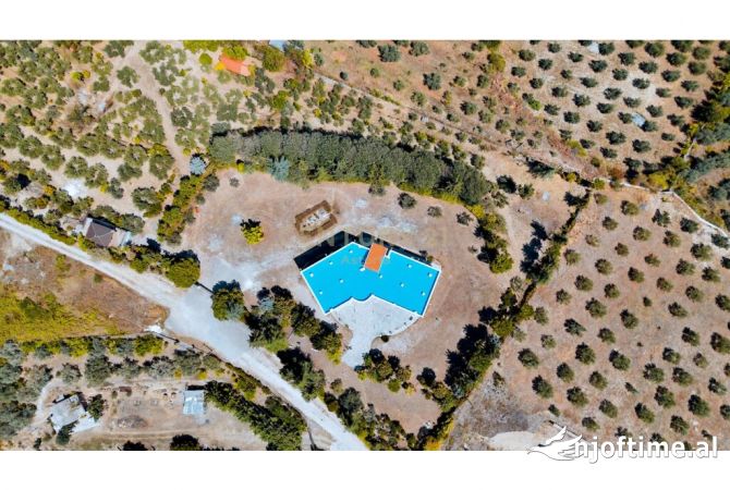 Godine per shitje ne Kucove!