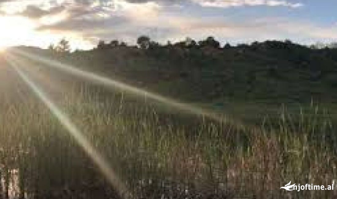 Shitet toke ne Berzhite!