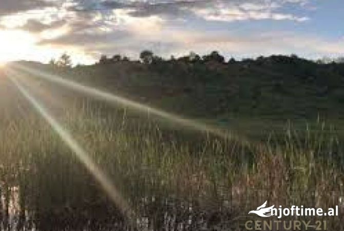 Shitet tokë në Bërzhitë!