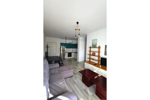 Shtepi ne shitje Apartament ne Tirane, 1+1, Mobilimi E mobiluar, Pagesa 135,000  Euro.