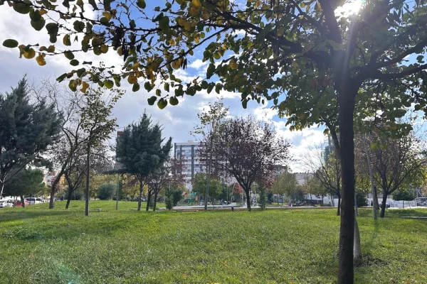 Shtepi me qera Apartament ne Tirane, 1+1, Mobilimi E mobiluar, Pagesa 550  Euro.