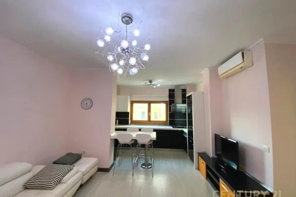 Shtepi ne shitje Apartament ne Tirane, 1+1, Mobilimi E mobiluar, Pagesa 140,000  Euro.
