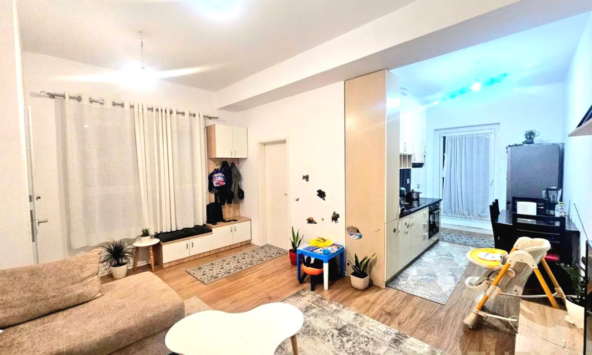 Shtepi ne shitje Apartament ne Tirane, 1+1, Mobilimi E mobiluar, Pagesa 106,000  Euro.
