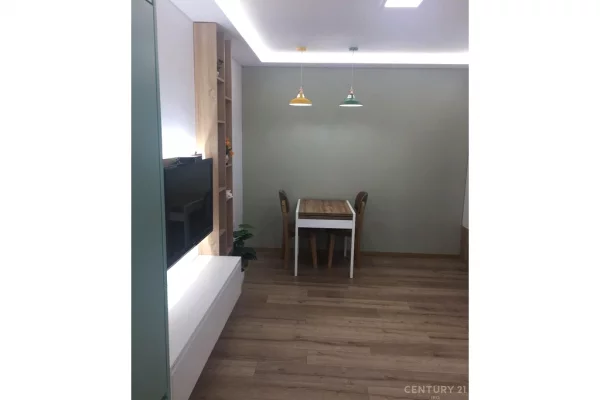 Shtepi ne shitje Apartament ne Tirane, 1+1, Mobilimi E mobiluar, Pagesa 165,000  Euro.