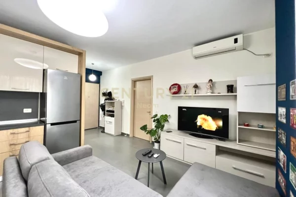 Shtepi me qera Apartament ne Tirane, 1+1, Mobilimi E mobiluar, Pagesa 650  Euro.