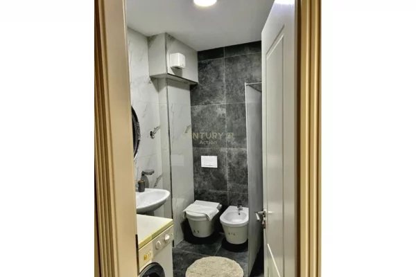 Shtepi me qera Apartament ne Tirane, Garsoniere, Mobilimi E mobiluar, Pagesa 550  Euro.