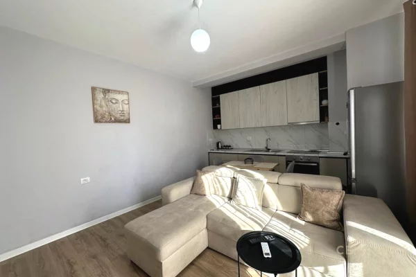 Shtepi me qera Apartament ne Tirane, 2+1, Mobilimi E mobiluar, Pagesa 600  Euro.