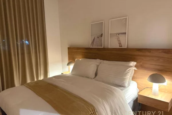 Shtepi ne shitje Apartament ne Tirane, 1+1, Mobilimi E mobiluar, Pagesa 154,000  Euro.