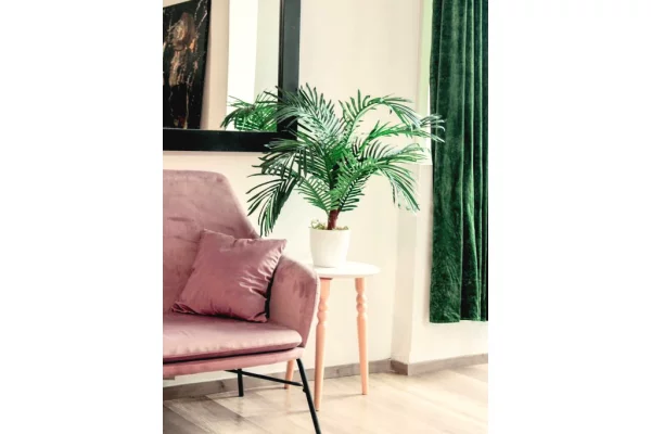 Shtepi ne shitje Apartament ne Tirane, 1+1, Mobilimi E mobiluar, Pagesa 87,000  Euro.