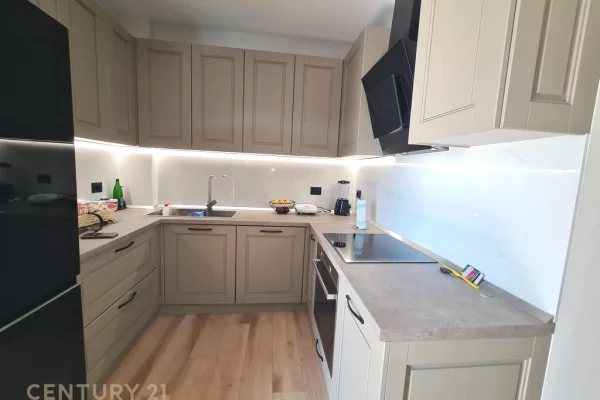 Apartment for rent in Tirana 1+1, Furnished