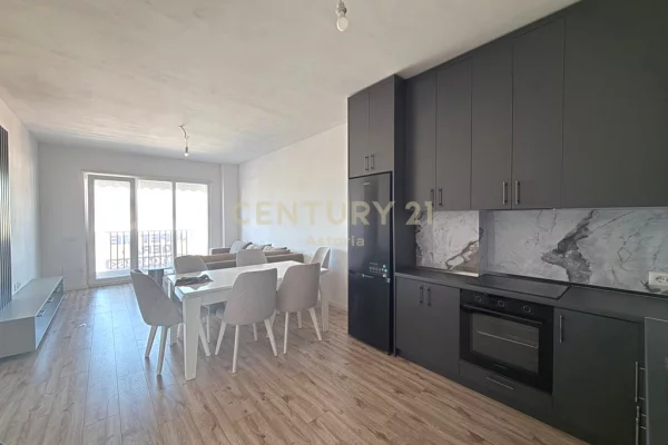 House for Rent 2+1 in Tirana - 650 Euro